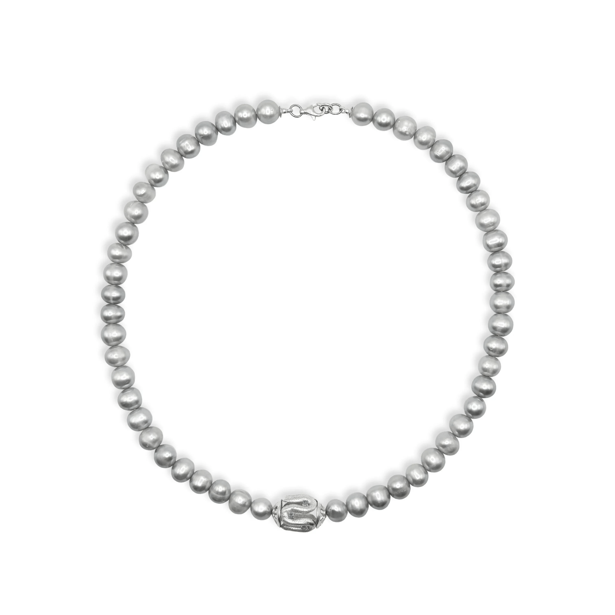 Choker With a Snake Charm / Silver - BOA PALACE