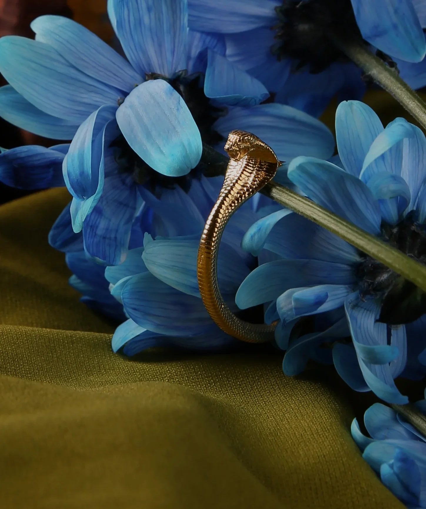 Cobra Earrings With Stone - BOA PALACE